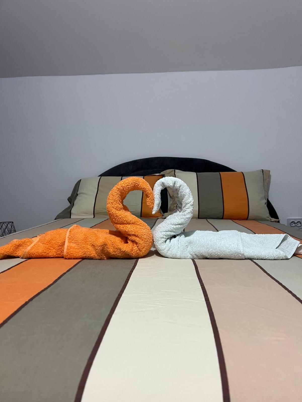 Casa Casy Villa Oradea Eksteriør billede